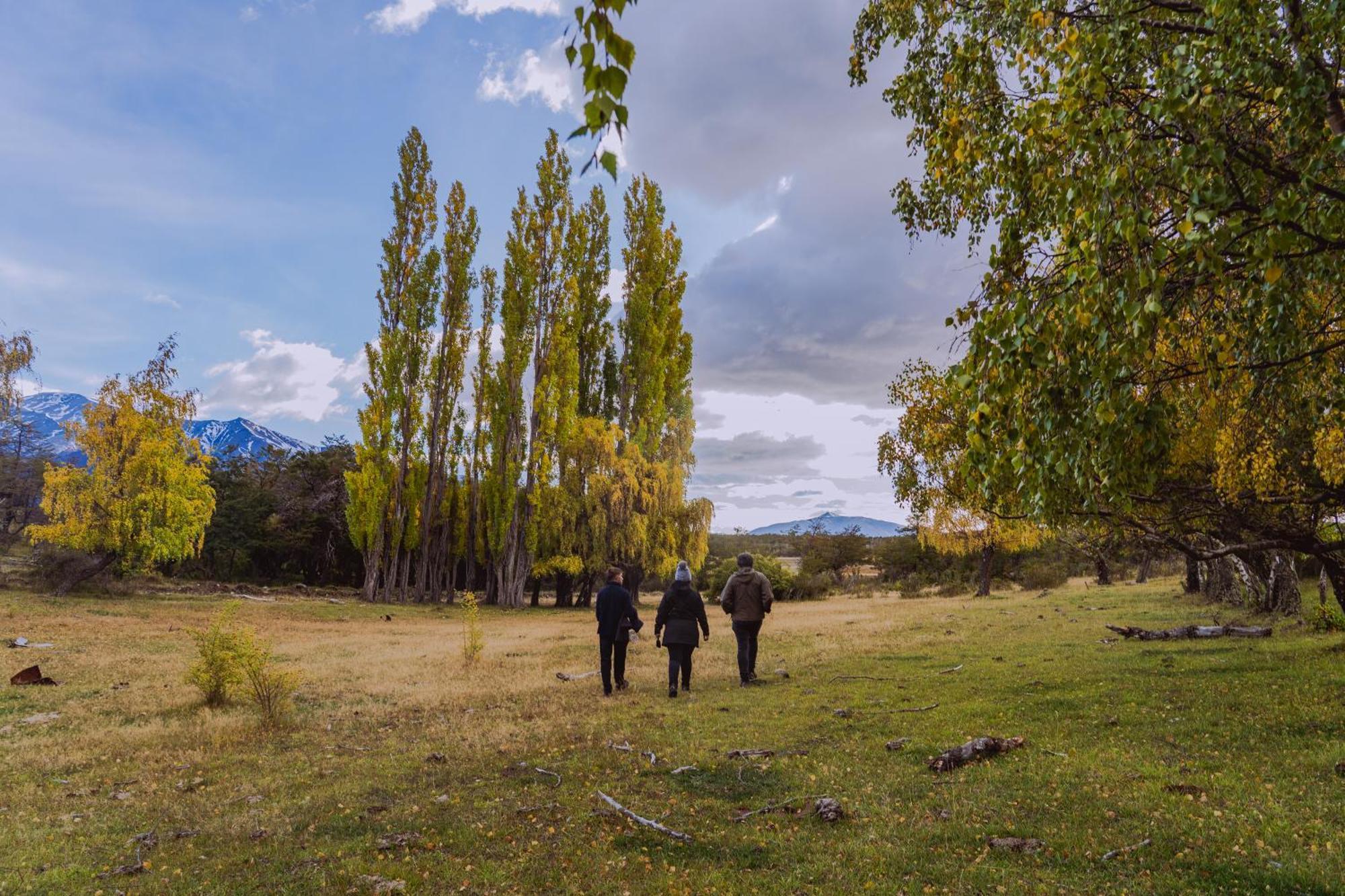 Estancia Patagonia El Calafate - Pristine Luxury Camps Colonia Francisco Perito Moreno Exterior photo